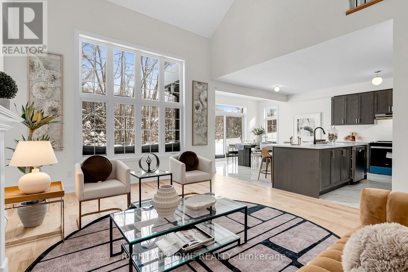 Living and dining area overview